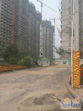 青岛蓝湾爆料最新消息,揭秘神秘项目进展与影响  第1张